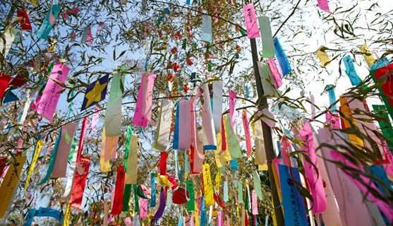 Festival tanabata